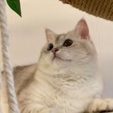 刘森森儿
