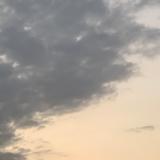 王薯条