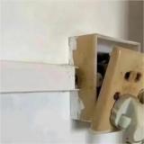 兴致勃勃的柚子